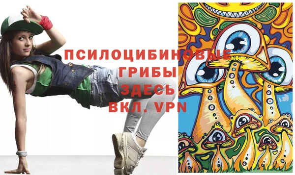 ешки Богданович