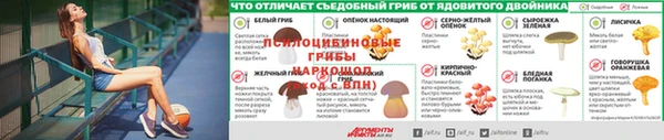 ешки Богданович