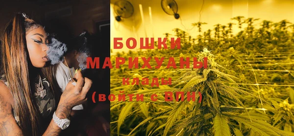 ешки Богданович