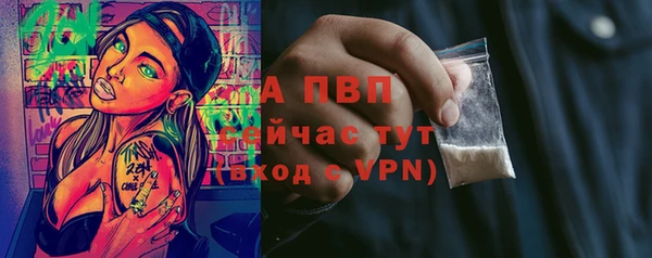 ешки Богданович