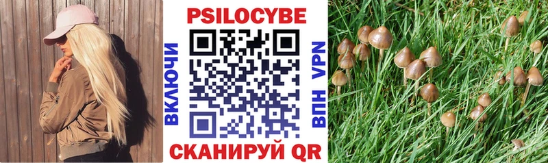 Псилоцибиновые грибы Psilocybine cubensis  купить наркотики сайты  Егорьевск 